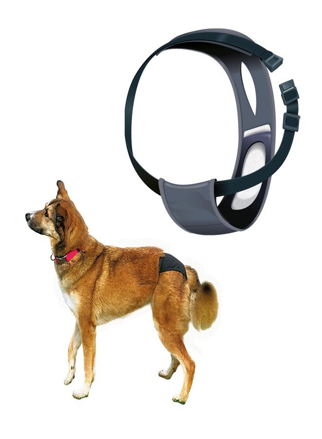 Trixie: - Protective Pants for Female Dogs | Designed for Dogs in The Season to Prevent Staining of Carpets & Other Fabrics | Handy Snap Clip Makes It Easy to Put On | Washable - XL: 60-70cm - Image 1